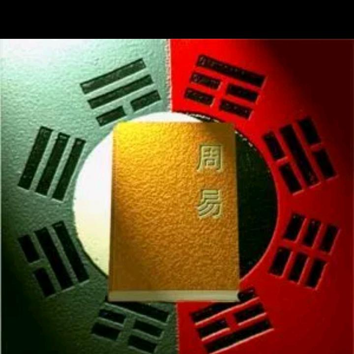 斌斌