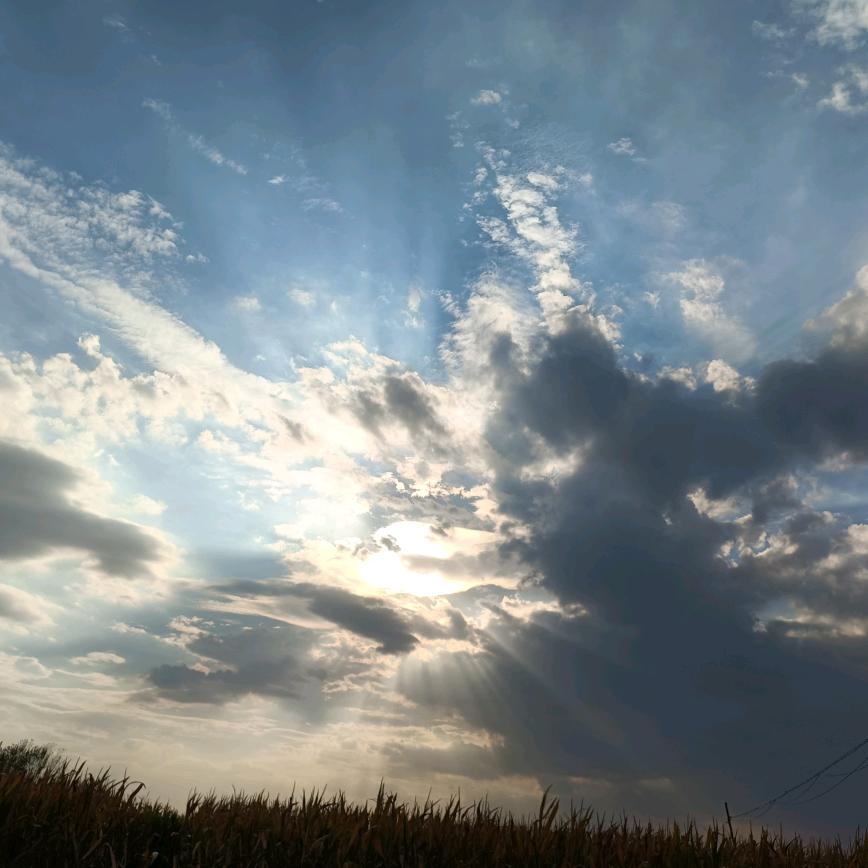 知止。。。。。。