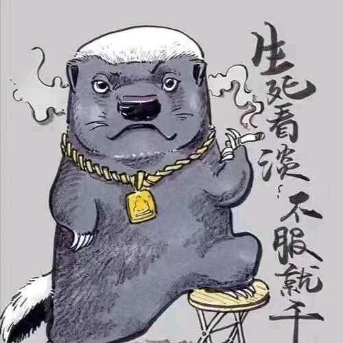 ᰔᩚ.大熊.🧸