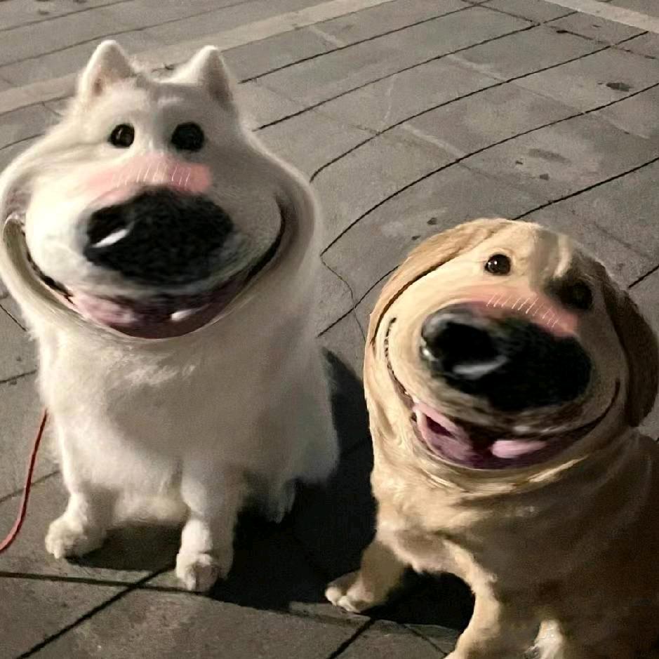 瓜瓜王国小王子