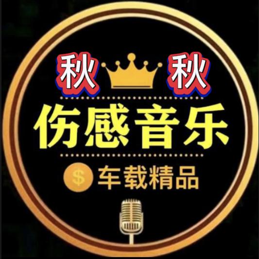 伤感音乐（U盘可购）