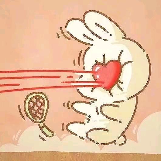 🎾🎾🎾