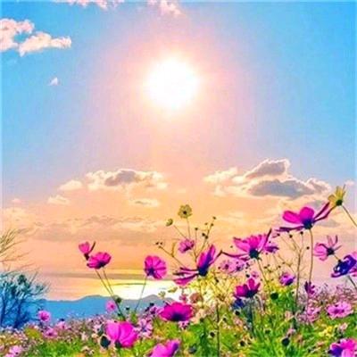 ⃟钱᭄程ꦻꦿ似锦💞ᭁ