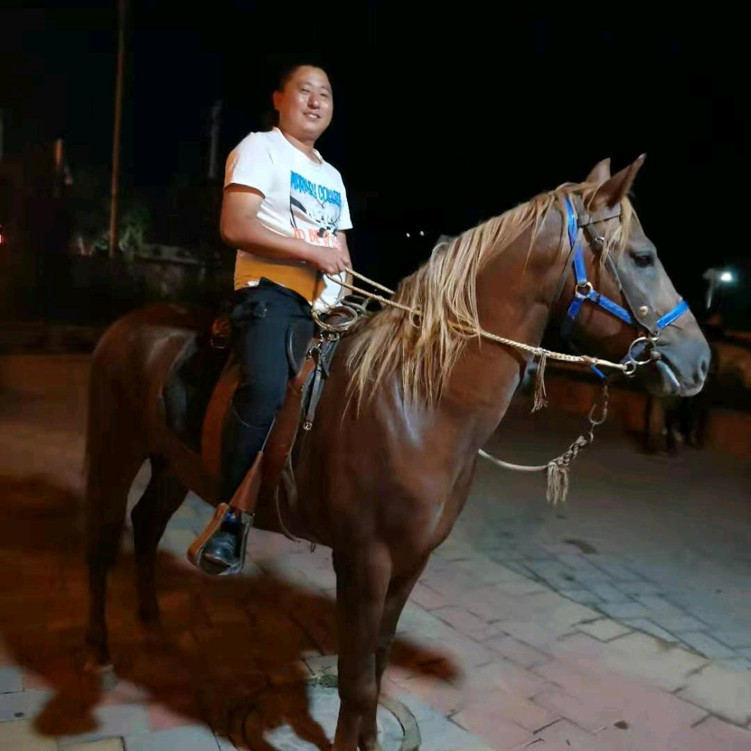涛哥爱骑马