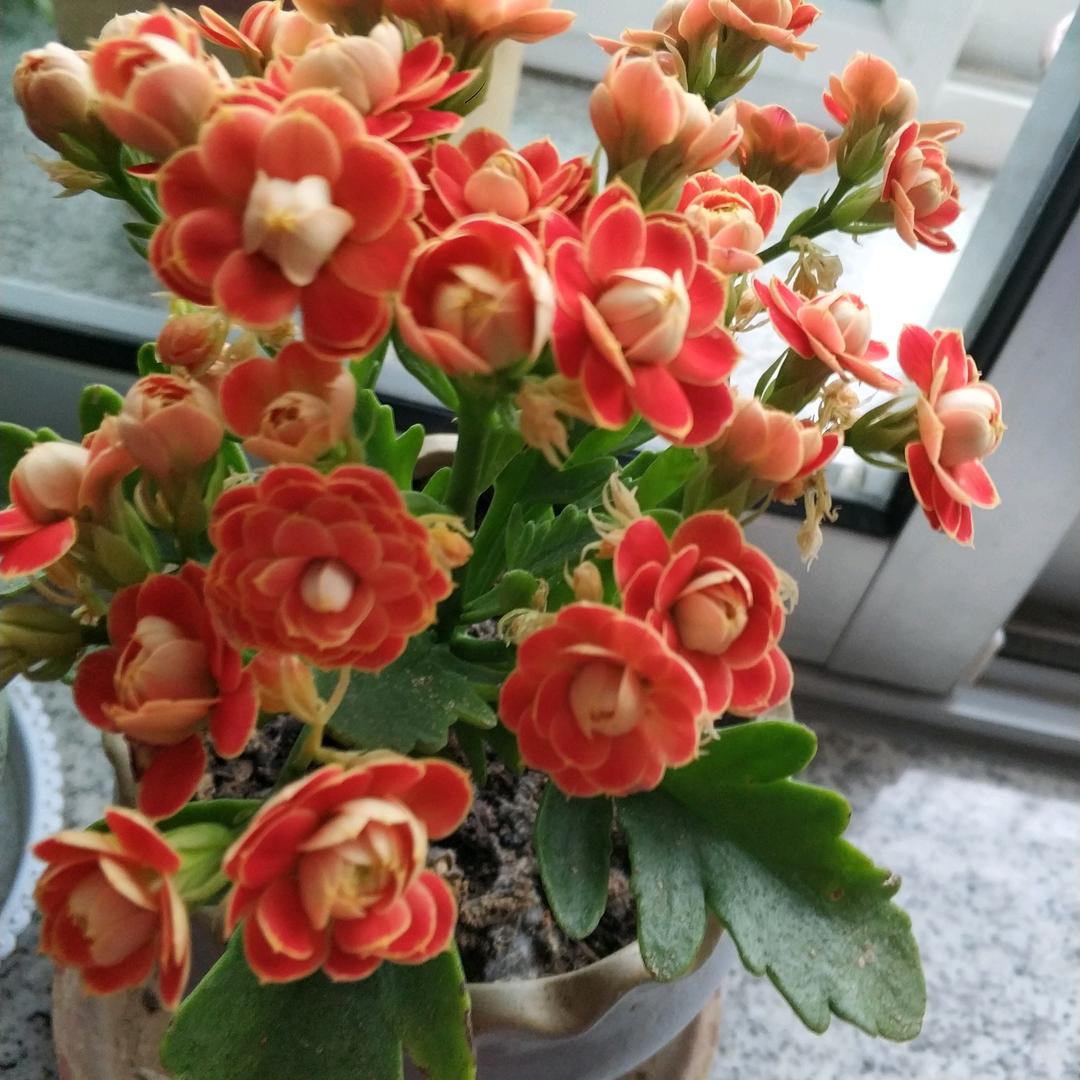 心心相印🌝🌝