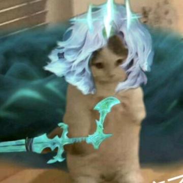 XXXBest.