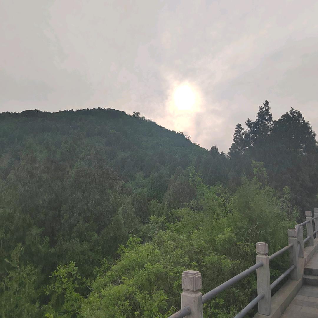 齐