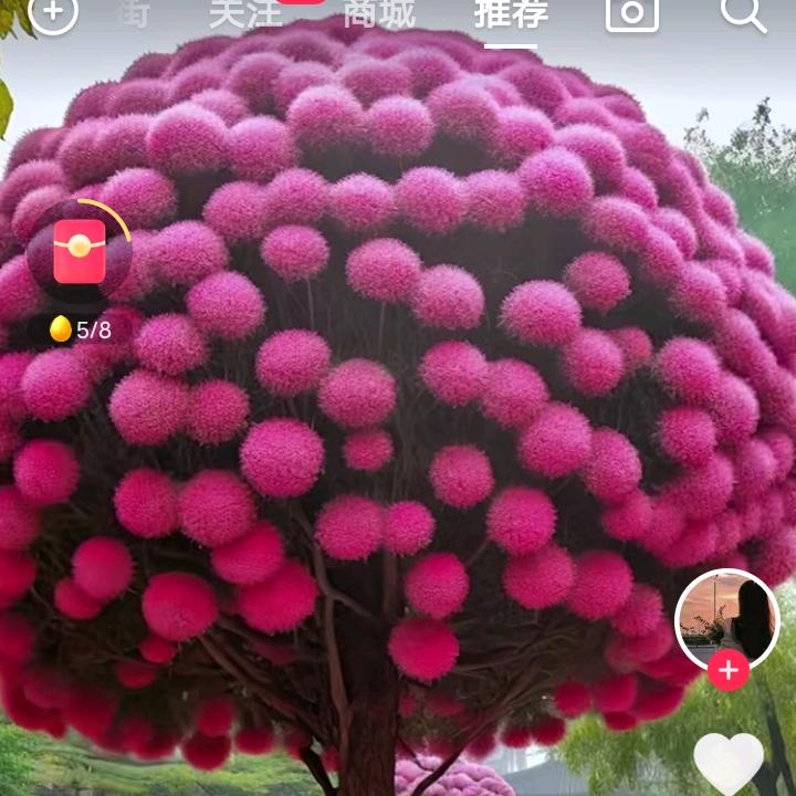 如歌岁月