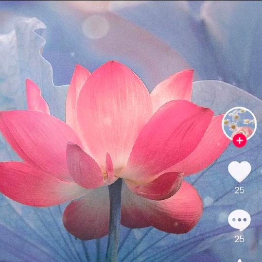 菲姐