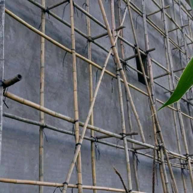 爱情，永不分离。