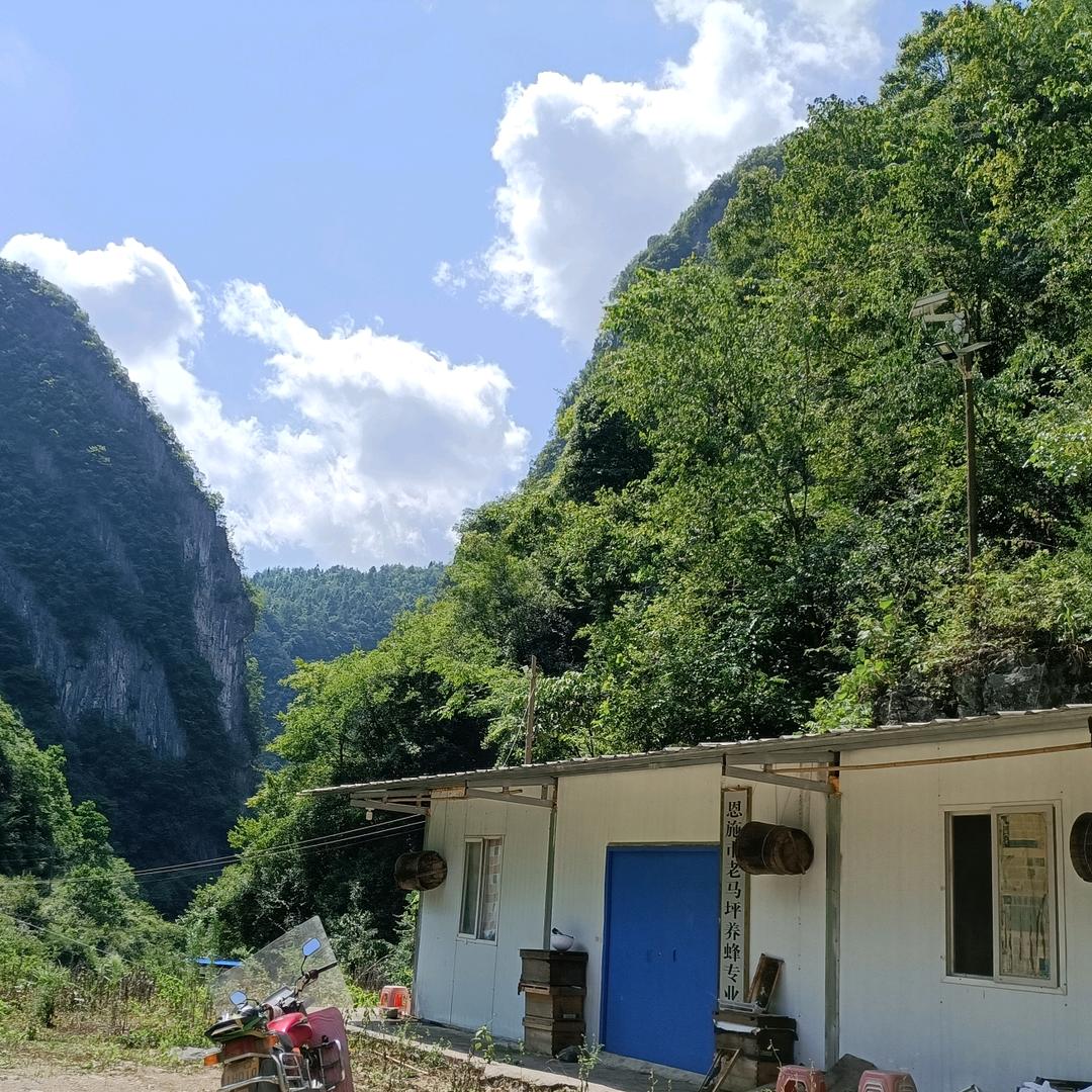 ❤️🔥勤惠正康乡土铺🔥❤️