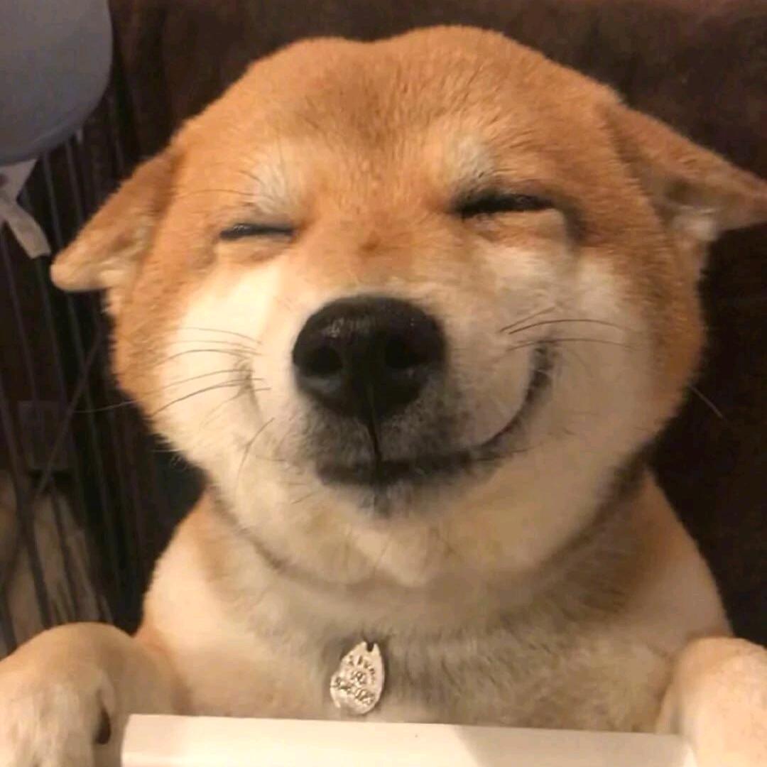 小高的租房记事本