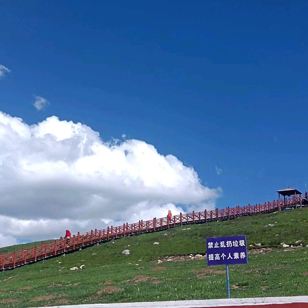 浮夸半生