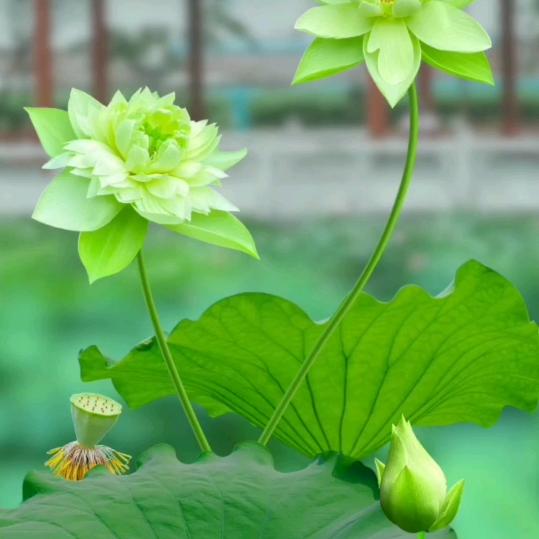徐玮泽