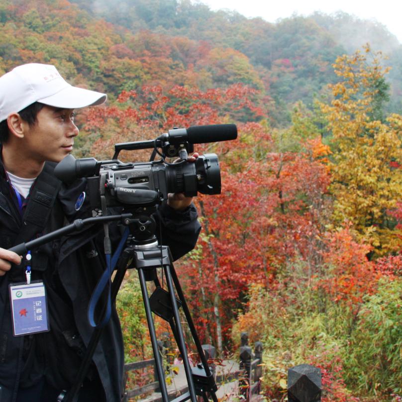 光雾山野人懒人蜂箱