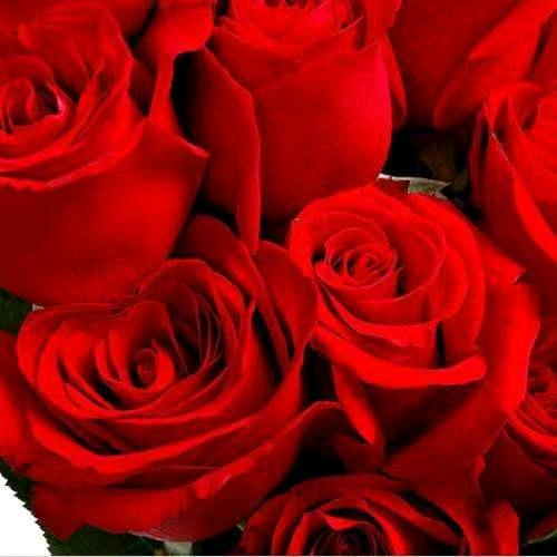 红红🔥🔥💋💋💋💋💋💋💋