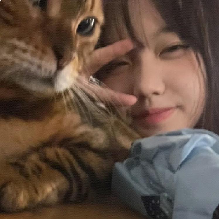 熊模熊样