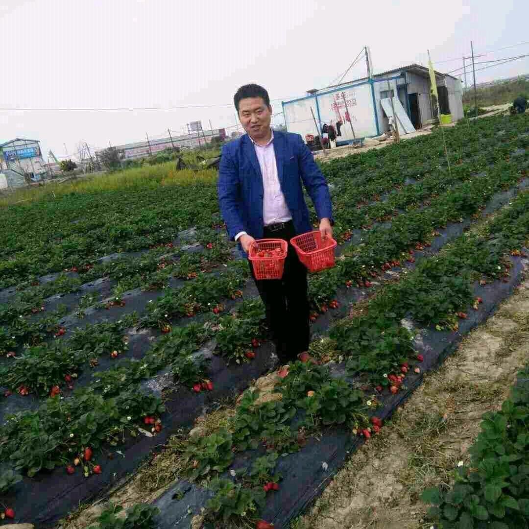 安康@康哥