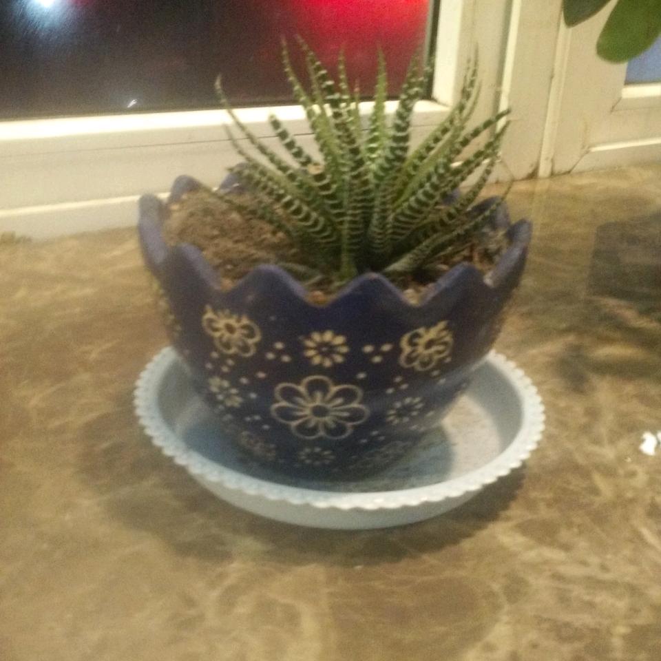 小牛