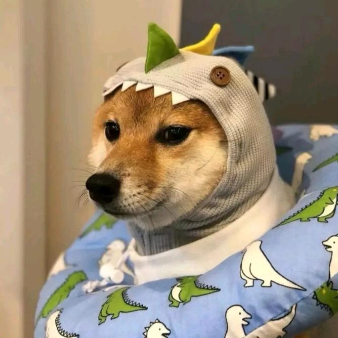 加勒比·海带