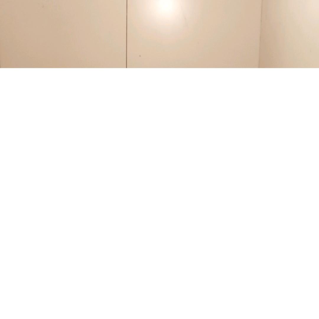 秦岭
