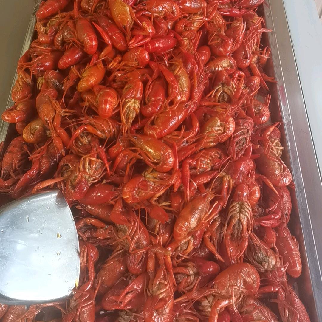 西昌高品质卤虾