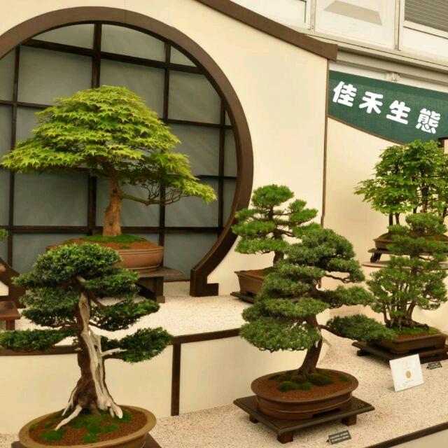 佳禾生态