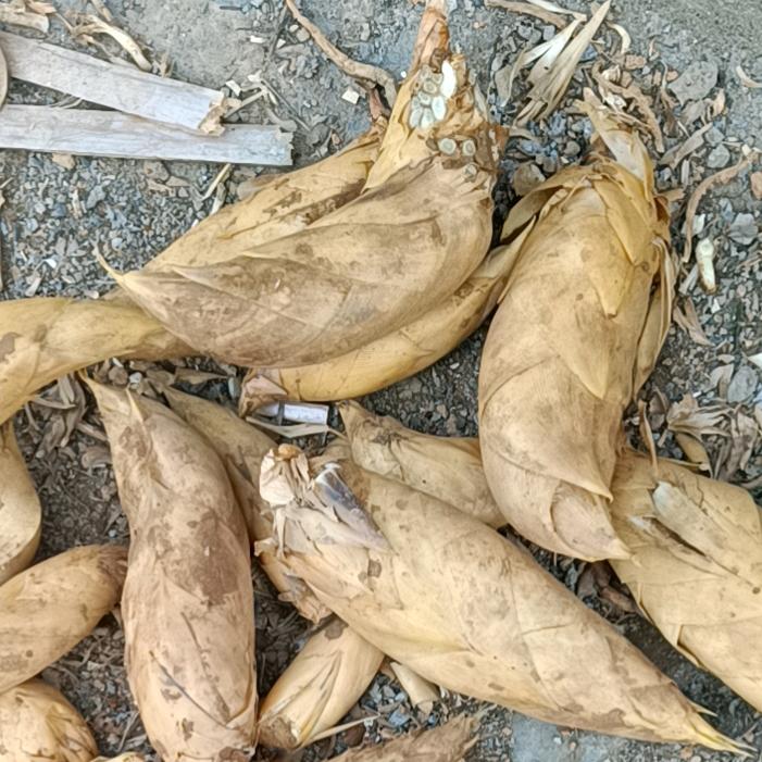 80后乡村守护人