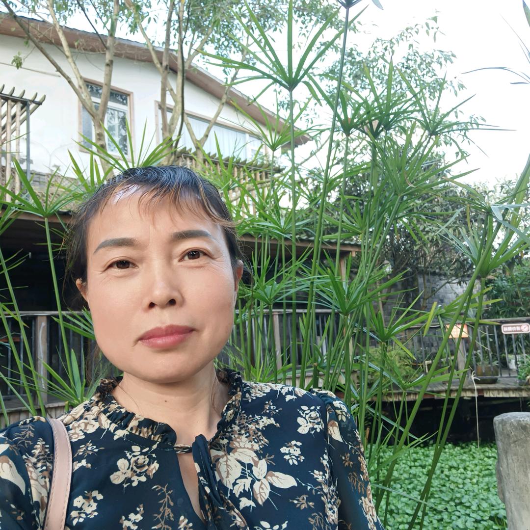 红娘随琴厨窗好物