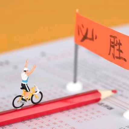 山东专科升学规划师
