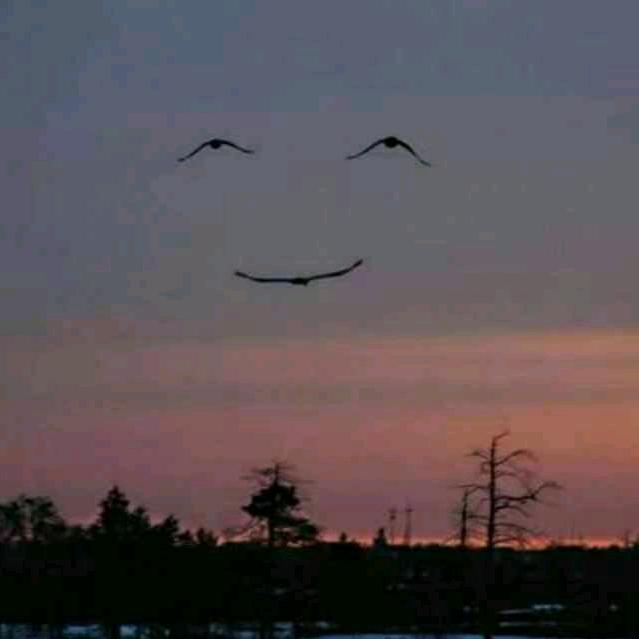 空悟