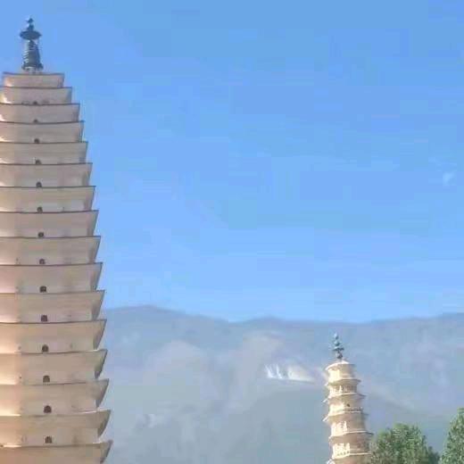 我是唐大姐
