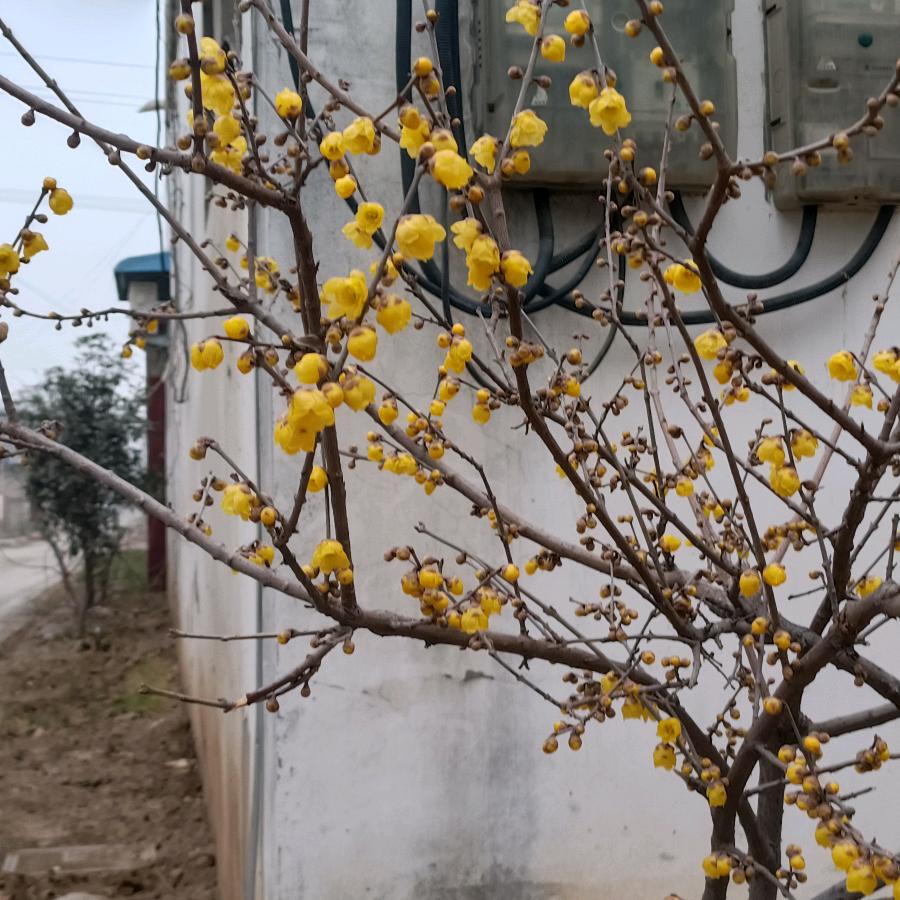 城信天下
