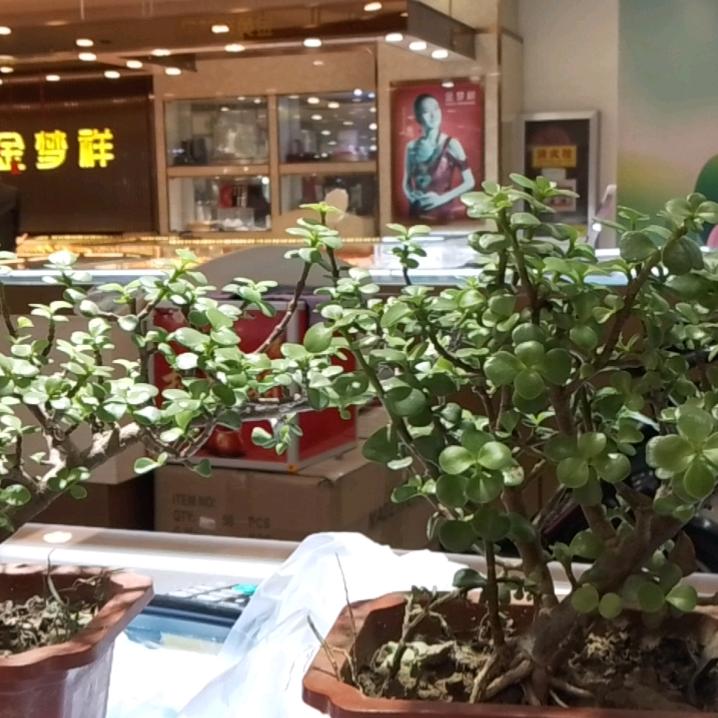 两个儿的爹