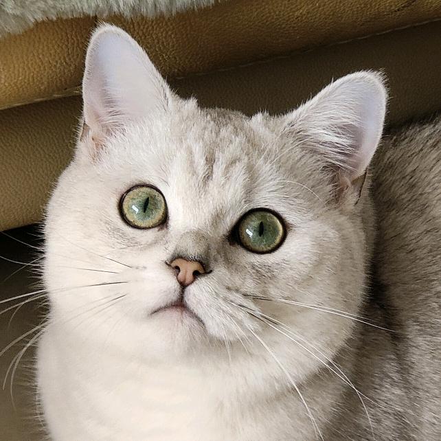 七🈷️初一😿      🪳