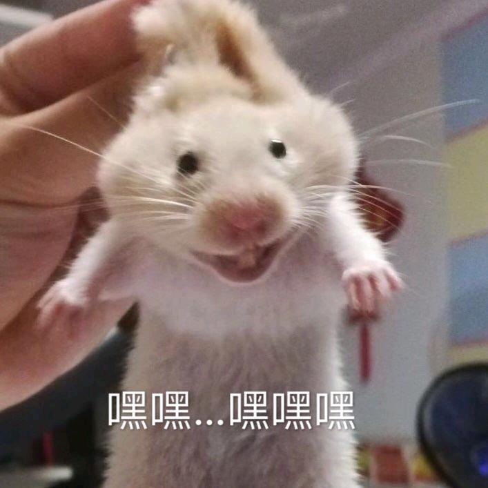 硬币