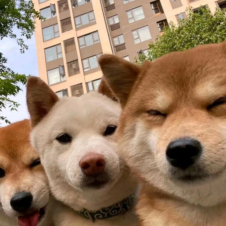 嗞嗞