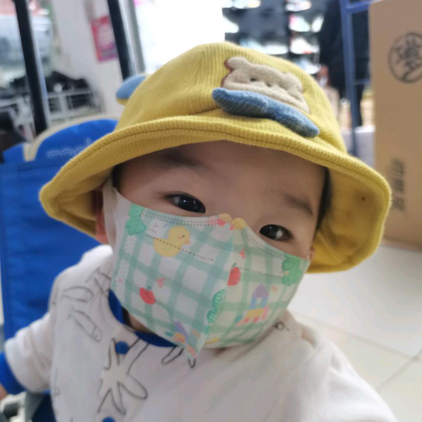 安全盟主