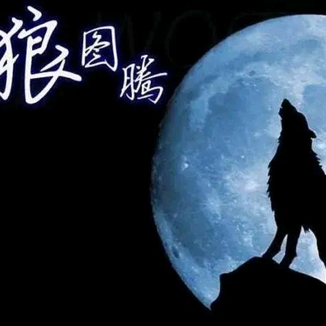 猛龍過茳