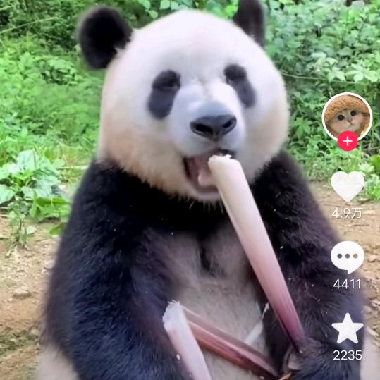 人生就像一场梦