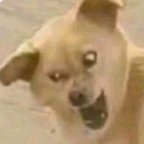 Sand auruing我爱某白