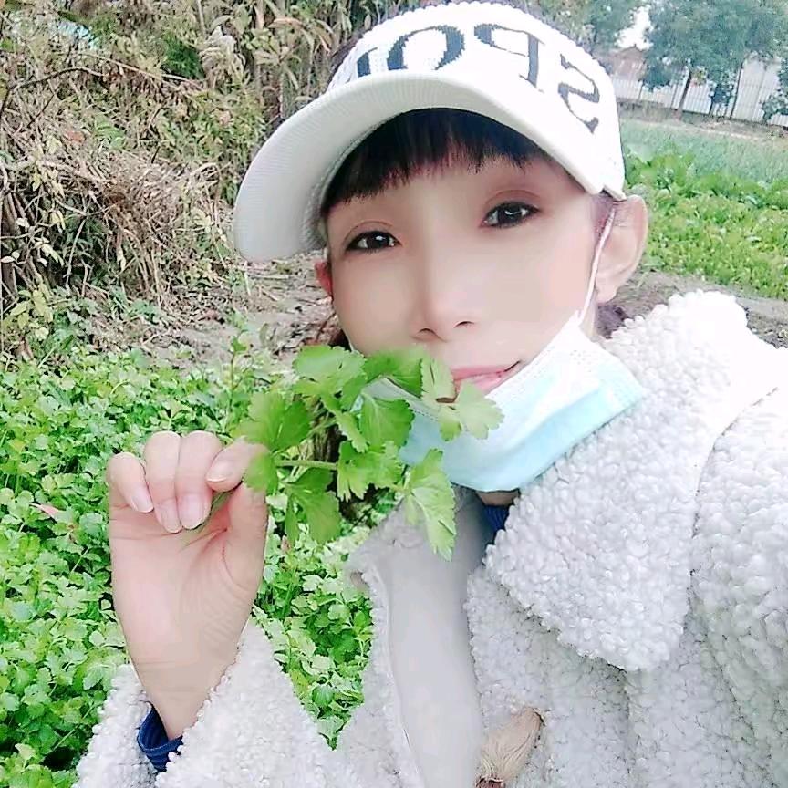 燕子💅