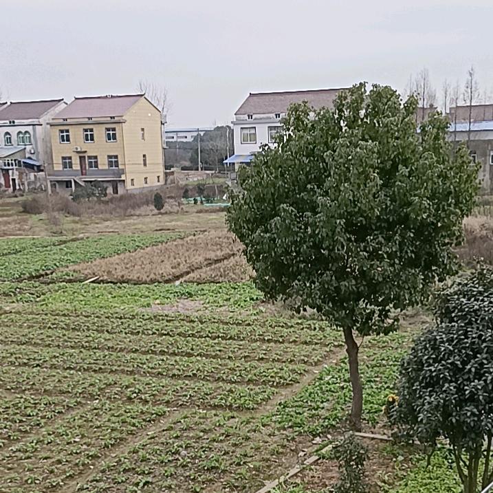ZGL