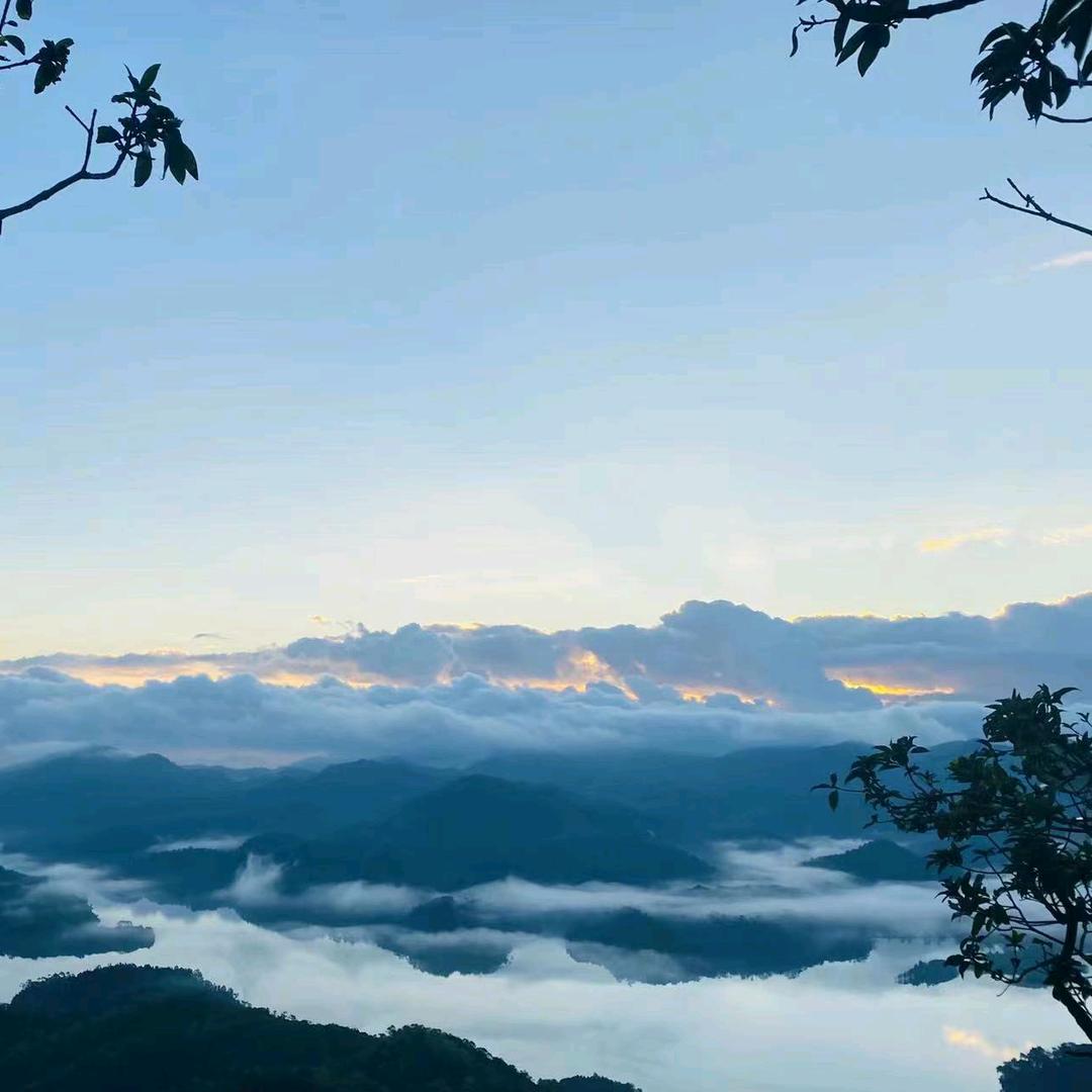 做LED的奋斗