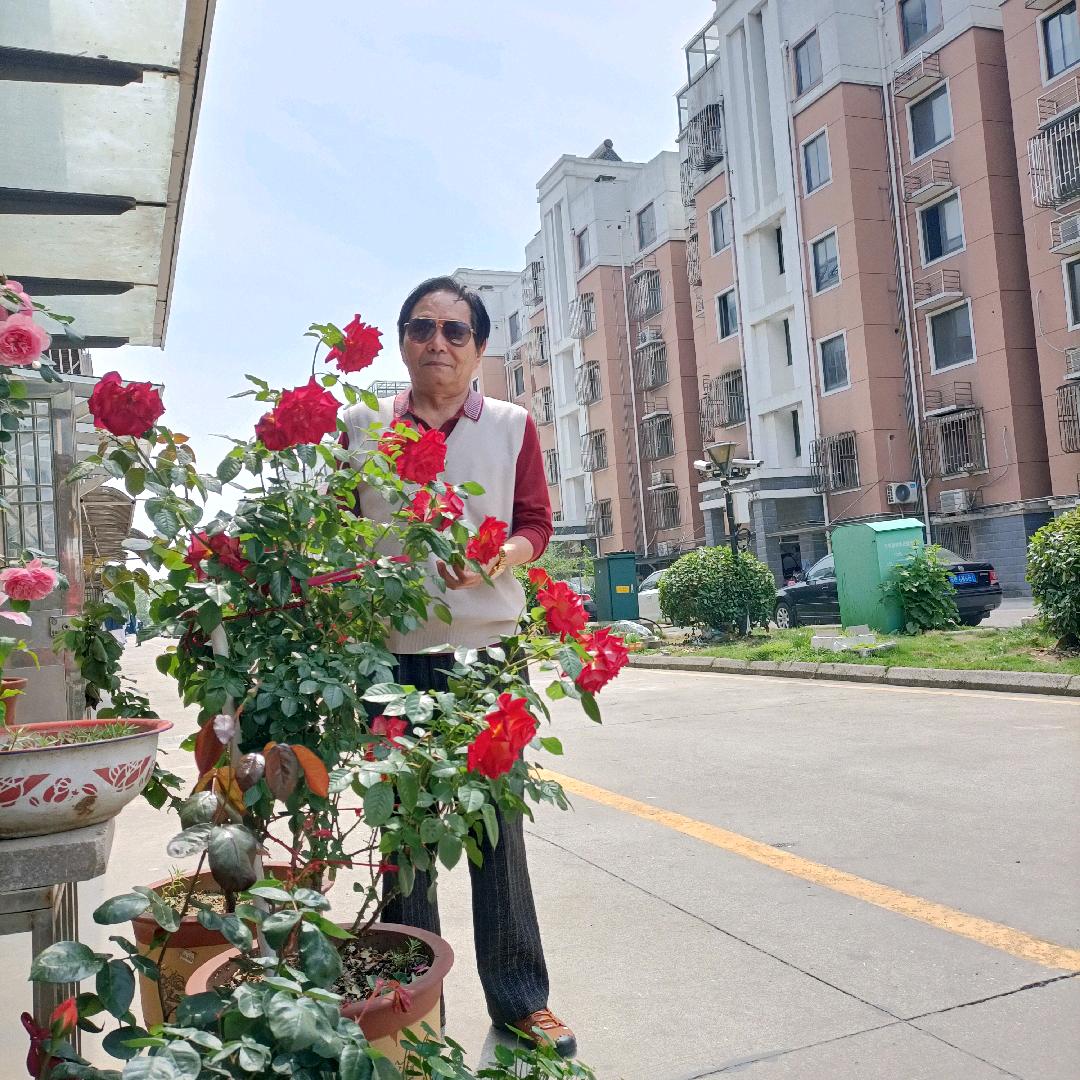 桃花依旧笑春风