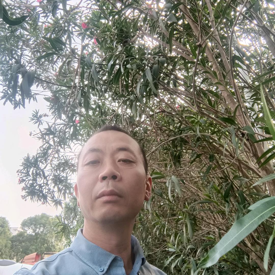 军哥有点拽