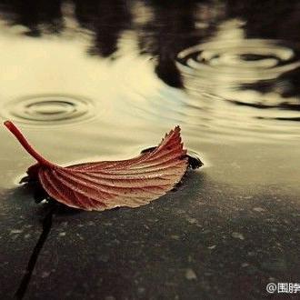 心静怡然