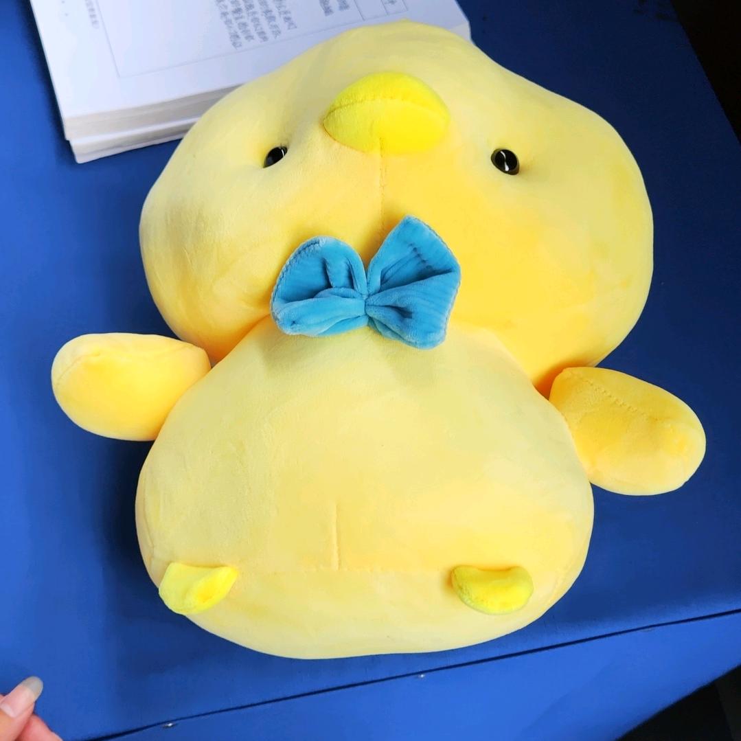 鹤鹤🦚🦚🐾🦔