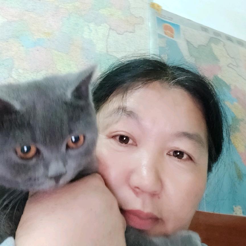 刘媛