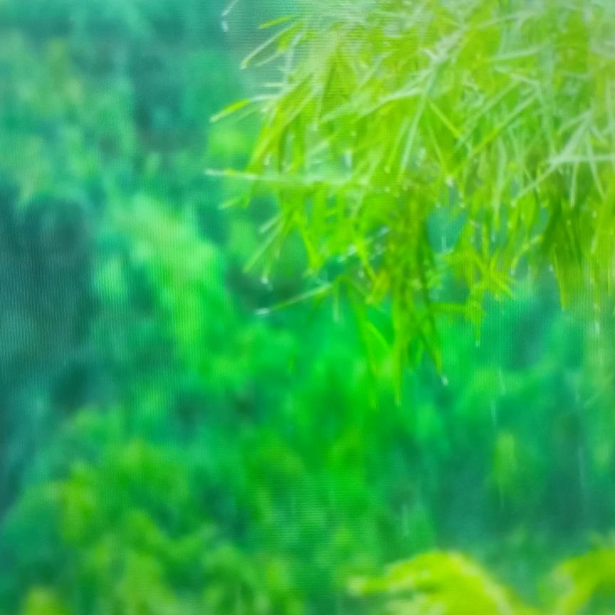 开心，快乐